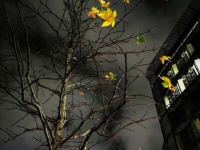 ФОБІЇ, обумовлені травматичною дисоціацією