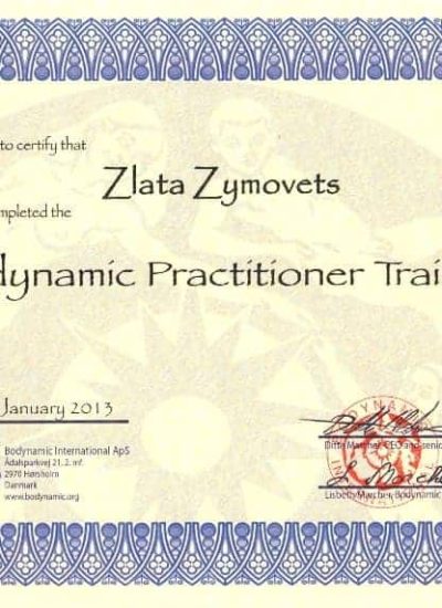 Bodynamic Practitioner Training