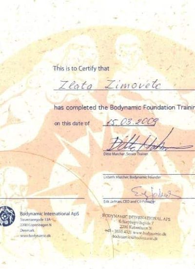 Bodynamic Foundation Training