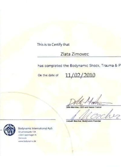 Bodynamic Shok, Trauma & PTSD Training